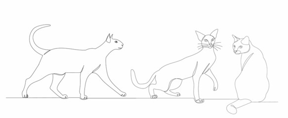 cats, continuous line drawing isolated, vector