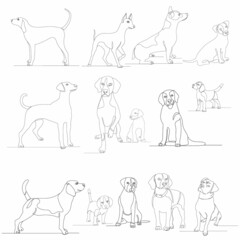 set of dog, continuous line drawing sketch, isolated, vector