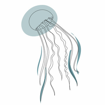 jellyfish, continuous line drawing isolated, vector