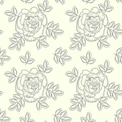 Vector illlustration of hand drawing rose. Seamless pattern