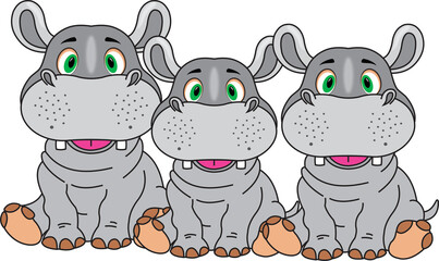 Baby hippos grey