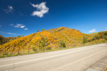 澄んだ青空と紅葉した山