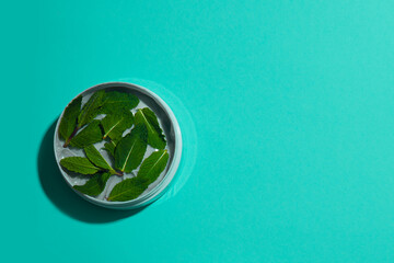 Cooling body and massage cream decorated with fresh mint leaves on a turquoise background. Place for your text. View from above.