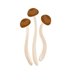 Tea tree, brown oriental willow mushrooms. Chinese eastern cuisine. Asian ingredient, edible fungus. Healthy vegetarian food. Flat hand drawn vector cartoon illustration.