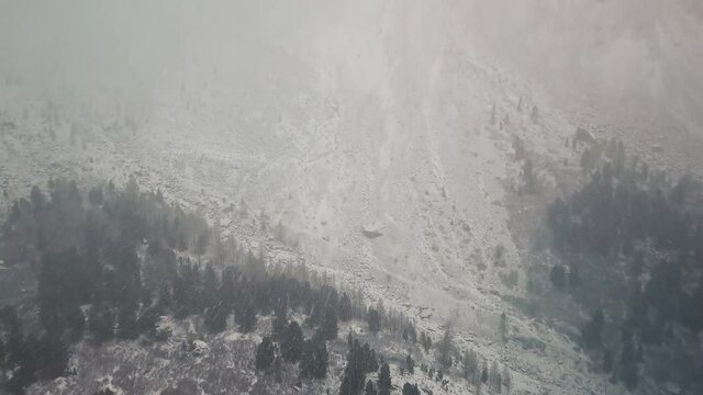 Storm, snowfall in the huge glacier of Mount Belukha, the valley of the Aktru River, the Altai Mountains. Cloudy weather, stone in the snow, storm, wildlife, winter forest, frozen mountain river in