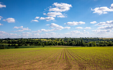 Fototapeta na wymiar Superbe paysage agricole en campagne, printemps dans les champs en France.