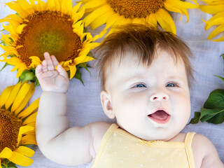 beautiful cute white girl of five months infant lies in sunflowers