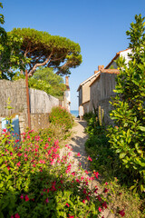 Petite rue menant à la plage sur l'île de Noirmoutier en Vendée.