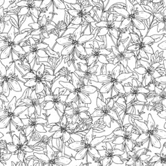 Seamless pattern with St. John s wort medical botanical blossom plant. hand drawn vector black and white texture in white background.