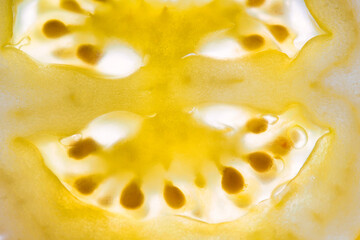 Macro of a Tomato slice