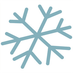 Vector flat winter snowflake icon. Doodle close-up. Minimalism style. Isolated illustration on a transparent background to decorate your design.