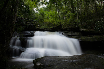 Waterfall in forest.