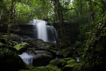 Waterfall in forest.