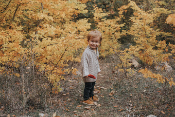 Little boy in the autumn forest. Outdoor activity