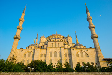 Blue Mosque at sunrise, Istanbul - Turkey. The largest mosque in Istanbul.
