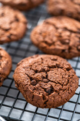 Double chocolate chip cookies