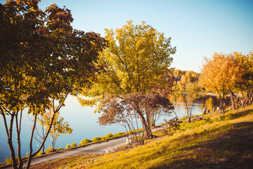 Yellow and green autumn trees on background of the sky and river on a sunny day