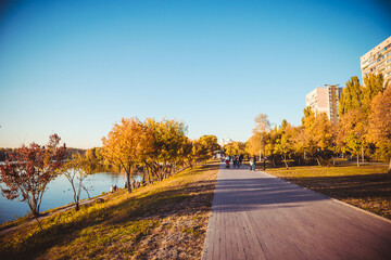 Yellow and green autumn trees on background of the sky and river on a sunny day