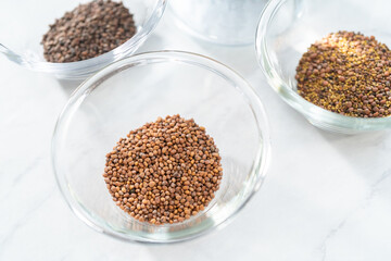 Growing sprouts in a jar