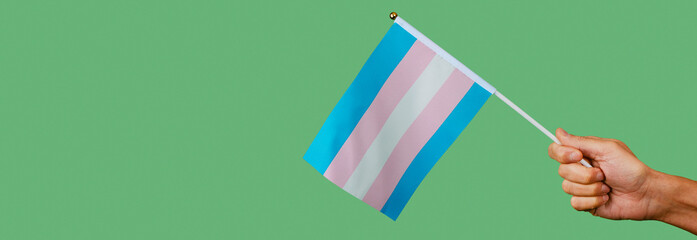waves a transgender pride flag, web banner