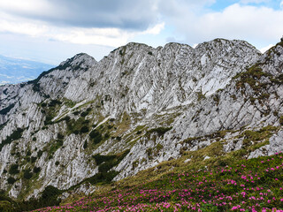 landscape with sky, Cioranga Mare Route, Piatra Craiului Mountains, Romania 