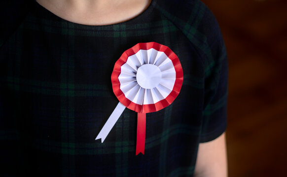 A cotillion in the national colors of Poland, pinned to the girl's navy blue dress.