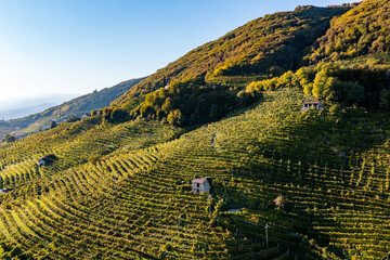 Valdobbiadene, hills and vineyards along the Prosecco road. Italy
