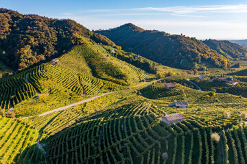 Valdobbiadene, hills and vineyards along the Prosecco road. Italy - 466951015