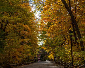 Fall color path