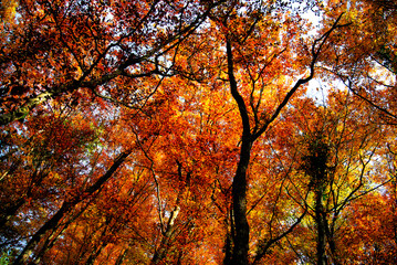 Herbst 2021