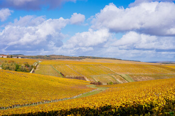 Burgundy, vineyards and landscape in autumn. 