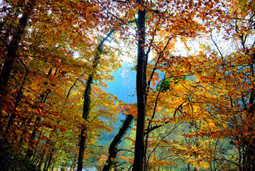 Herbst 2021