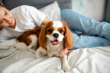 Young woman lying on the bed at home with Cavalier King Charles Spaniel dog and smiling. - obrazy, fototapety, plakaty