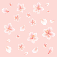 Flying flowers isolated on light peach pink background. Cherry blossom. Floral seamless Pattern. Vector
