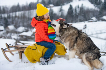 Happy kids having fun with husky dog and riding the sledge in the winter snowy forest, enjoy winter...