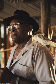 Stylish black man with cockatiel parrot on shoulder looking away