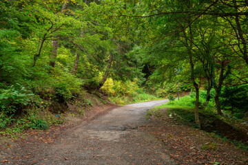 Naklejka premium Path to the Famous Kintsvisi monastery in Shida Kartli, central Georgia