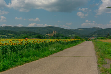 road in the countryside