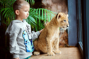 Cute baby playing with lion cub near the window