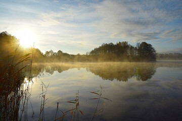 lake and morning autumn fog