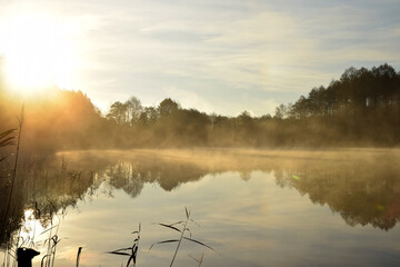 autumn fog on the lake