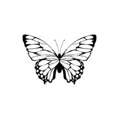 Vector illustration of silhouette butterfly cartoon on white background