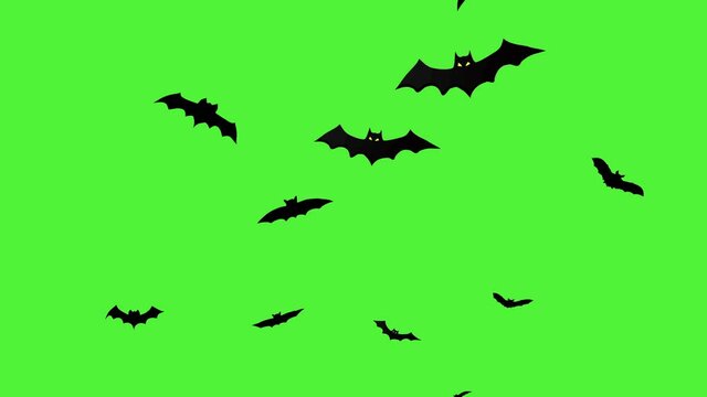 Flock of bats flying on green screen background. Spooky black bats flying on green background, Chroma Key