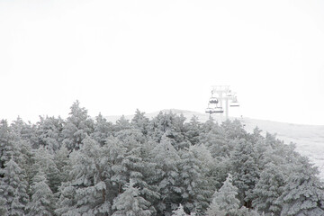 Ski resort with snow and trees