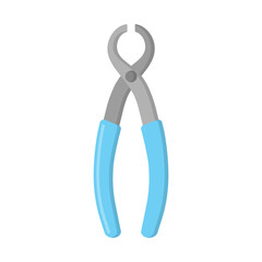 Vector cartoon dental surgical extraction forceps instrument.