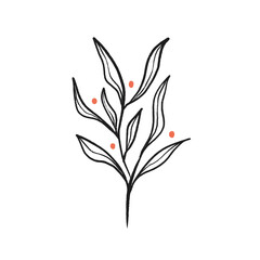 Wild flower botanical line illustration. Leaves and red berries, black and white vector art. 