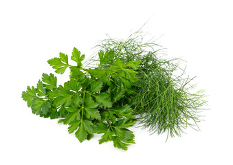 Bunch of green parsley with dill.