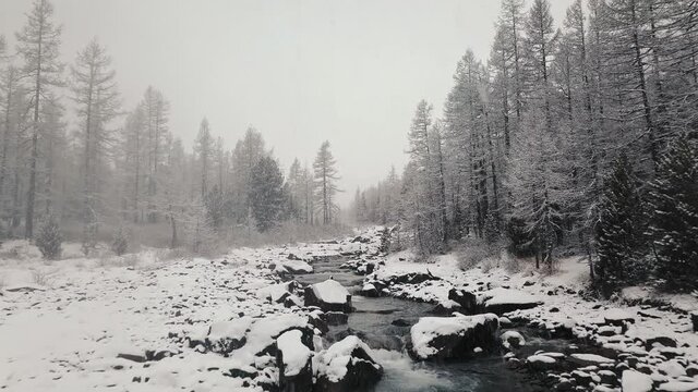 Storm, snowfall in a huge in the valley of the Aktru River, Altai mountains. Cloudy weather, wildlife, winter forest, flowing mountain river in the valley of the Chuya River and Aktru Altai Republic