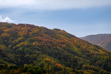 Beautiful golden autumn in mountains landscape. Autumn forest background.