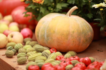Pumpkin, harvest of autumn vegetables, healthy vegetables - 466974080
